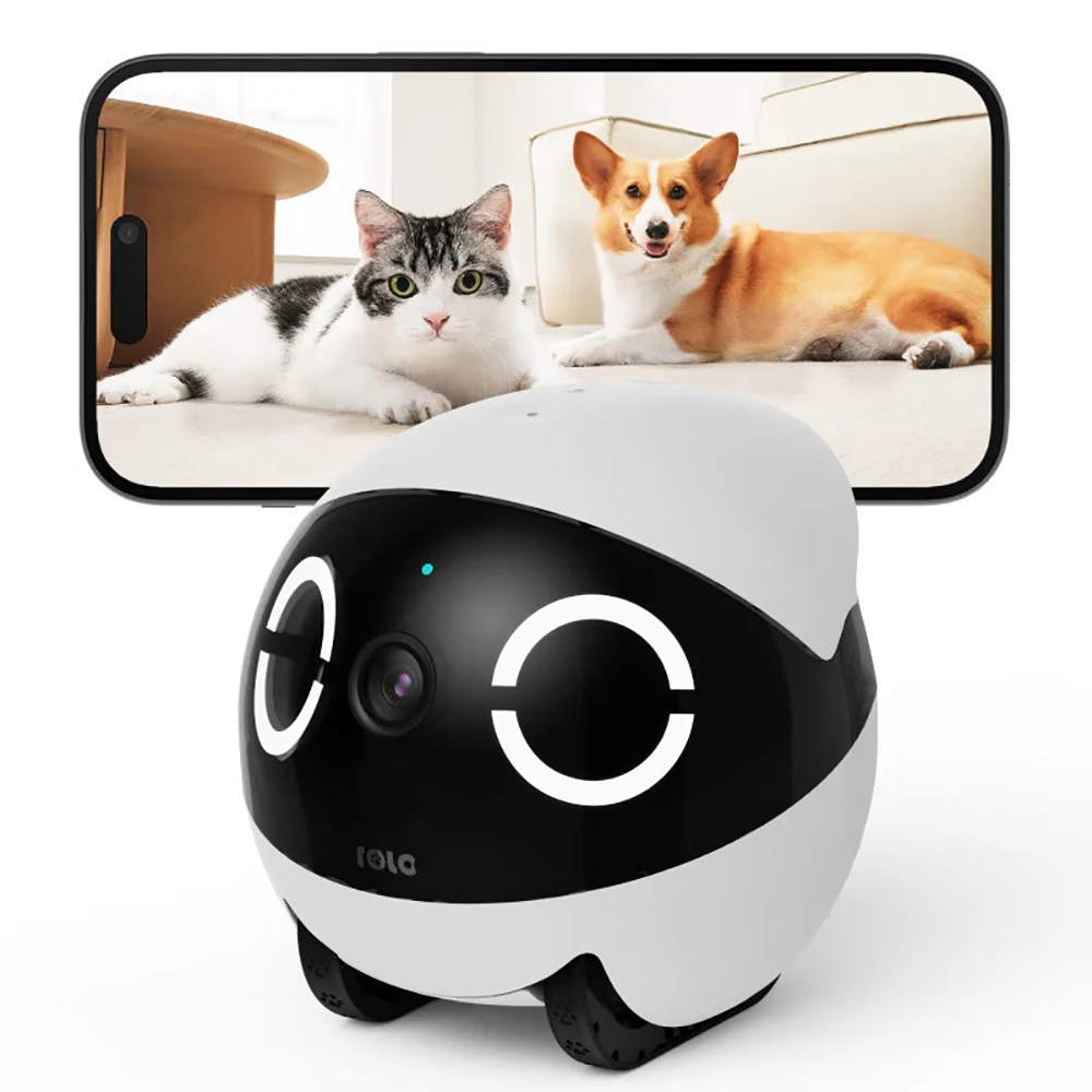 Ev Güvenliği Evcil Hayvan Oyun - Home Security Robot incelemesi ve fiyatı